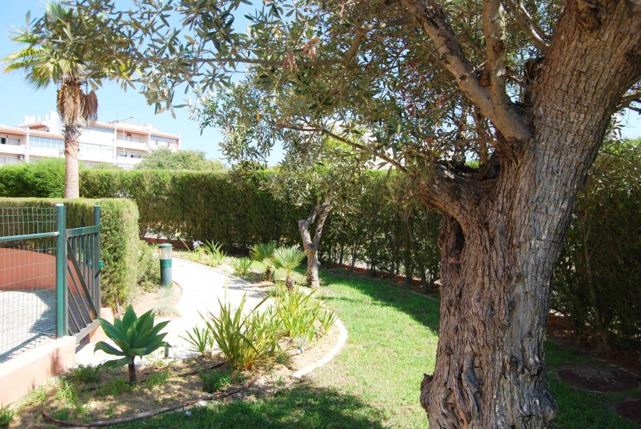 Summer Beach Apartment Litoralmar Portimão Dış mekan fotoğraf